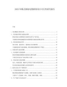 2025年梯式鋼制電纜橋架項(xiàng)目可行性研究報(bào)告