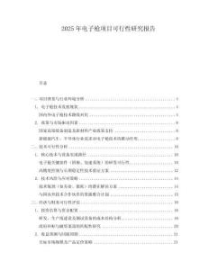 2025年電子槍項目可行性研究報告