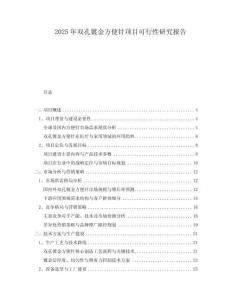 2025年雙孔鍍金方便針項目可行性研究報告