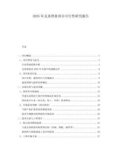 2025年支承塔盤(pán)項(xiàng)目可行性研究報(bào)告