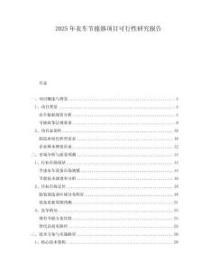 2025年衣車(chē)節(jié)能器項(xiàng)目可行性研究報(bào)告