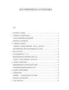 2025年鈸型砂輪項目可行性研究報告