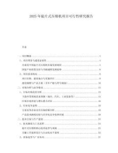 2025年旋片式壓縮機(jī)項(xiàng)目可行性研究報(bào)告