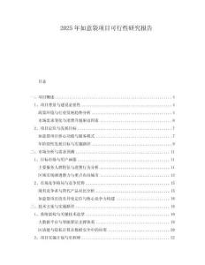 2025年如意袋項(xiàng)目可行性研究報(bào)告