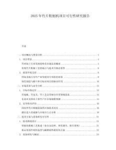 2025年竹片粗刨機(jī)項(xiàng)目可行性研究報(bào)告