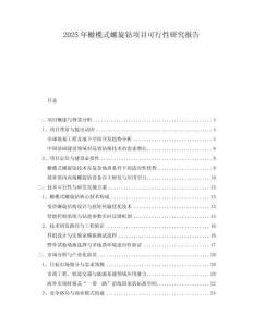 2025年橄欖式螺旋鉆項(xiàng)目可行性研究報(bào)告