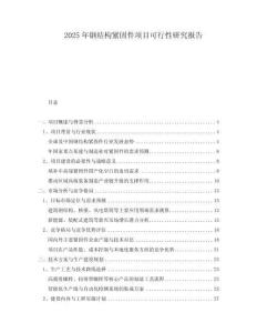 2025年鋼結(jié)構(gòu)緊固件項目可行性研究報告
