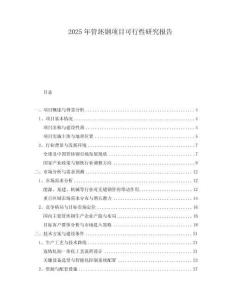 2025年管坯鋼項目可行性研究報告