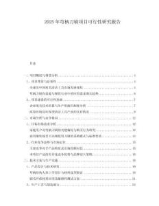 2025年彎柄刀刷項(xiàng)目可行性研究報(bào)告
