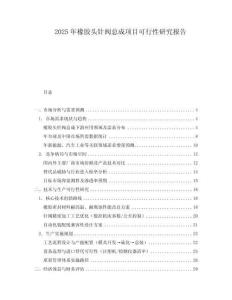 2025年橡膠頭針閥總成項(xiàng)目可行性研究報(bào)告