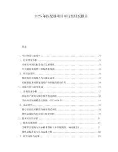 2025年匹配器項(xiàng)目可行性研究報(bào)告