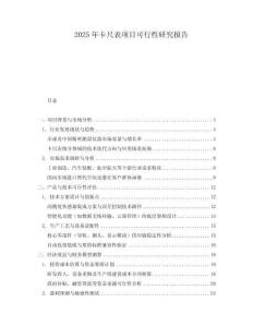 2025年卡尺表項(xiàng)目可行性研究報(bào)告