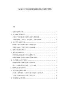 2025年切割打磨機項目可行性研究報告