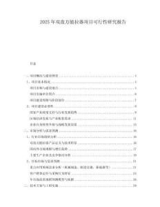 2025年雙盤萬能拉器項目可行性研究報告