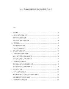 2025年椒鹽酥餅項目可行性研究報告