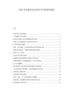 2025年雙盤飲水臺項目可行性研究報告