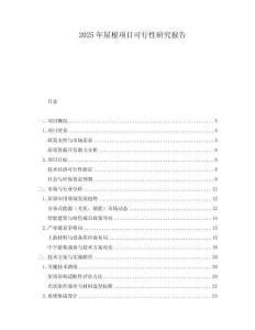 2025年屋根項目可行性研究報告