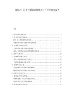 2025年IC卡售飯管理軟件項目可行性研究報告
