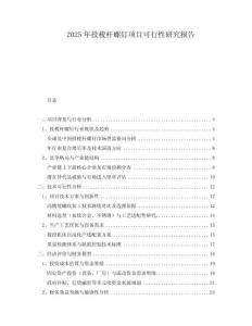 2025年投梭桿螺釘項(xiàng)目可行性研究報告