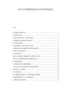 2025年型材整形機(jī)項(xiàng)目可行性研究報(bào)告