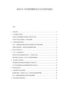 2025年4件套擋圈鉗項(xiàng)目可行性研究報(bào)告