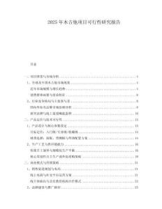 2025年木吉他項目可行性研究報告