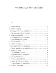 2025年柳制工藝品項目可行性研究報告