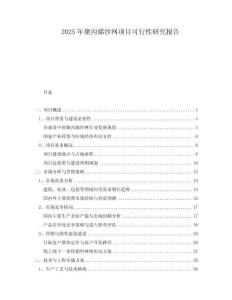 2025年聚丙烯紗網(wǎng)項目可行性研究報告