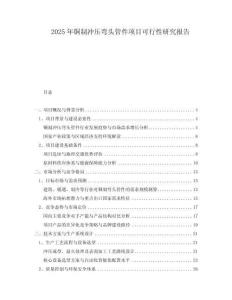2025年銅制沖壓彎頭管件項目可行性研究報告