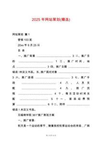 2025年網(wǎng)站策劃(精選)