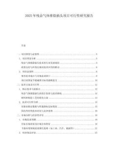2025年殘余氣體排除插頭項(xiàng)目可行性研究報(bào)告