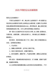 2025年稅負(fù)企業(yè)自查報(bào)告