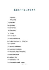 低端芯片行業(yè)分析報(bào)告書
