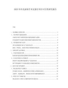 2025年冷光深部手術(shù)無影燈項(xiàng)目可行性研究報告