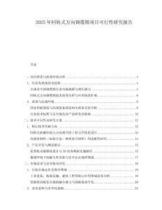 2025年回轉(zhuǎn)式萬(wàn)向鋼纜鎖項(xiàng)目可行性研究報(bào)告