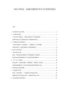 2025年機(jī)電一體感應(yīng)透熱爐項目可行性研究報告