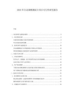 2025年自動調整測試卡項目可行性研究報告