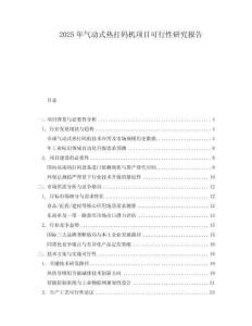2025年氣動(dòng)式熱打碼機(jī)項(xiàng)目可行性研究報(bào)告