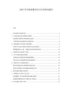 2025年印度神像項目可行性研究報告