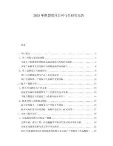 2025年撕裂帶項目可行性研究報告