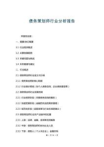 債務策劃師行業分析報告