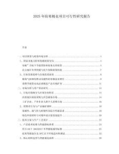 2025年防寒棉衣項目可行性研究報告