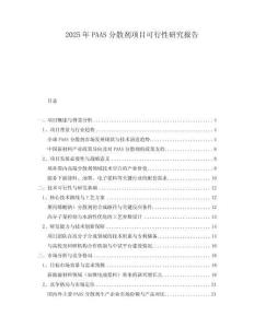 2025年PAAS分散劑項目可行性研究報告