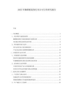 2025年腳踏板裝飾燈項目可行性研究報告