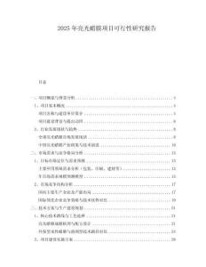 2025年亮光蠟?zāi)ろ?xiàng)目可行性研究報(bào)告