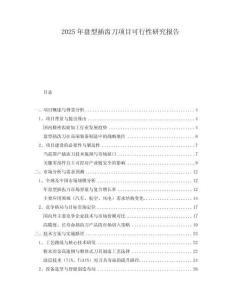 2025年盤型插齒刀項(xiàng)目可行性研究報(bào)告