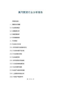 蒸汽熨燙行業(yè)分析報(bào)告