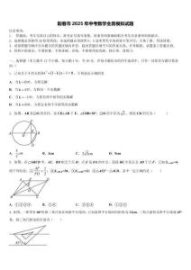 陽春市2025年中考數(shù)學(xué)全真模擬試題含解析