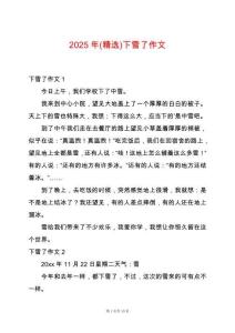 2025年(精選)下雪了作文