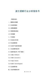 波蘭壟斷行業(yè)分析報告書